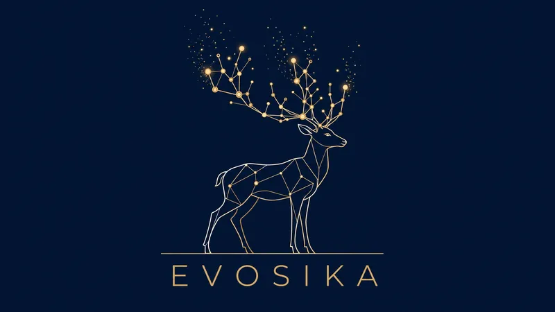 EvoSika Logo